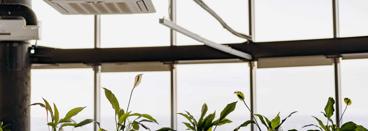 Can Poor Indoor Air Quality Cause Dizziness?